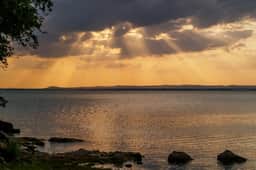 Seahorse Cove - Image 3