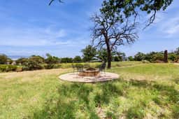 Lone Star Oasis - Image 2