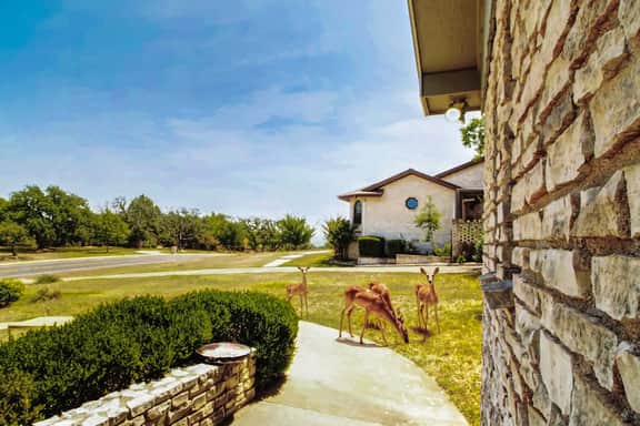 Hillside Manor - Image 4